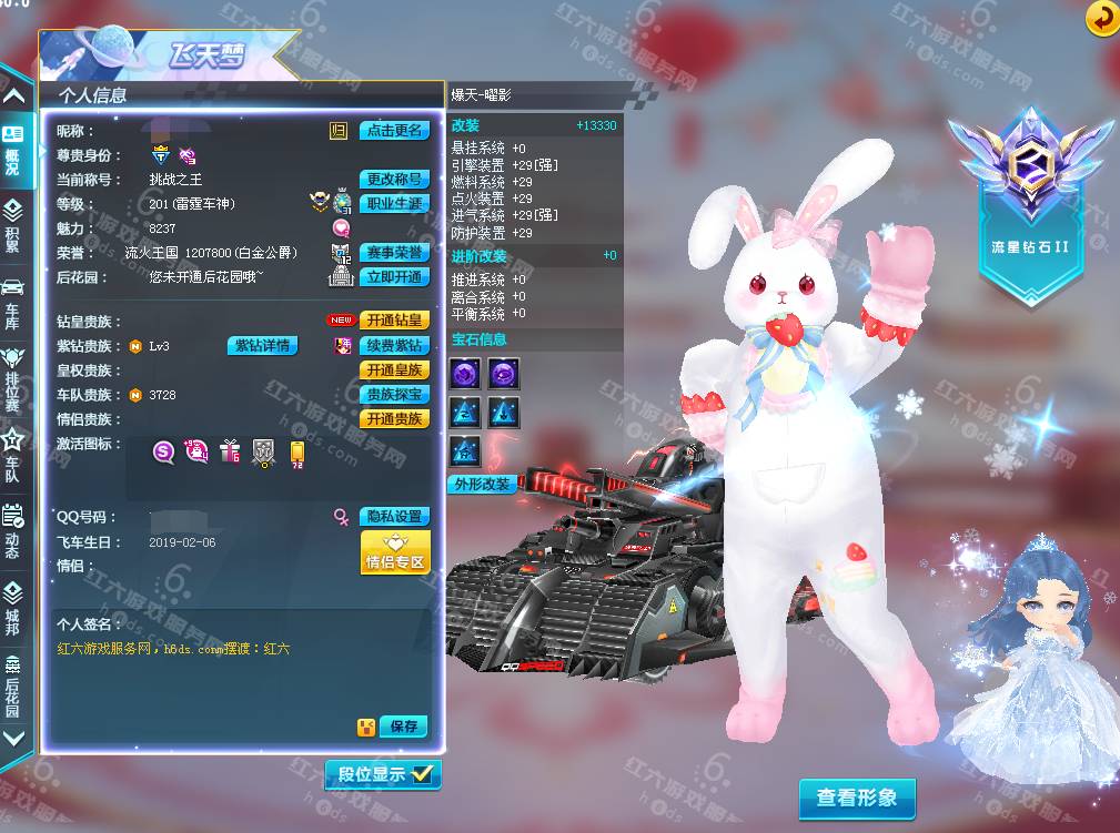 t1*1,a车*5:高改雷诺幻夜3阶等,骑宠*8:雪凝公主 9,白金神兽 5,宠物*8